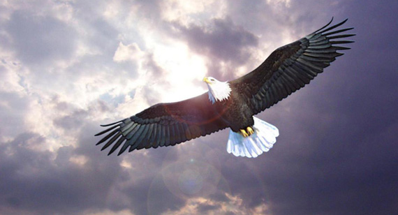 尊龙凯时人生就是搏 -首页官网