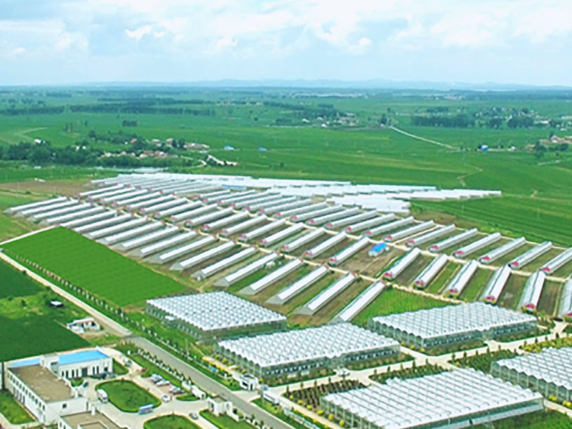 尊龙凯时人生就是搏 -首页官网