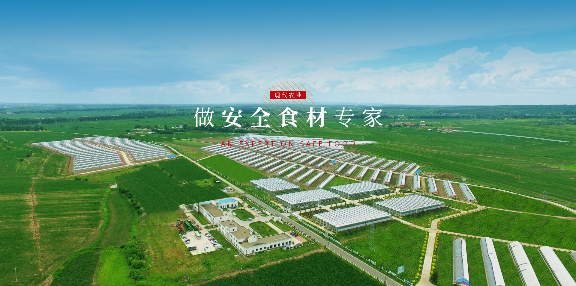 尊龙凯时人生就是搏 -首页官网