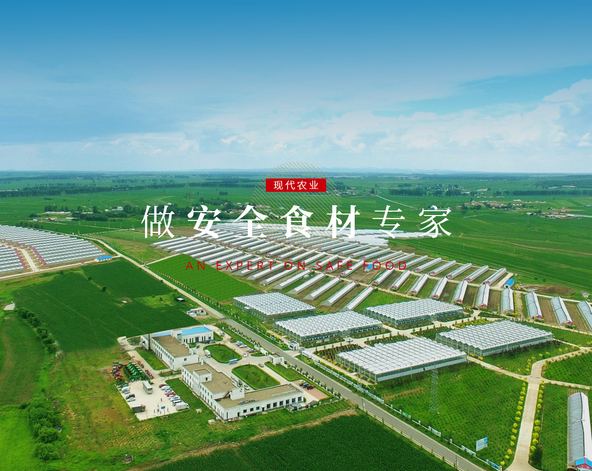 尊龙凯时人生就是搏 -首页官网