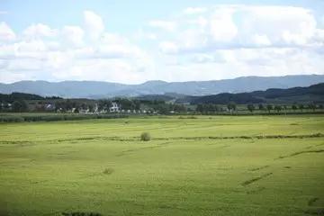 尊龙凯时人生就是搏 -首页官网