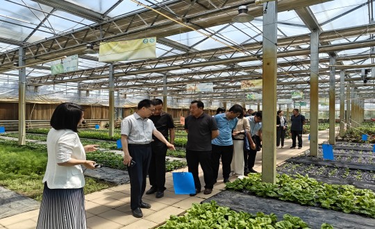2024年6月27日，，，，，中国绿色食物生长中心相关向导莅临农业总公司考察调研_副本.jpg